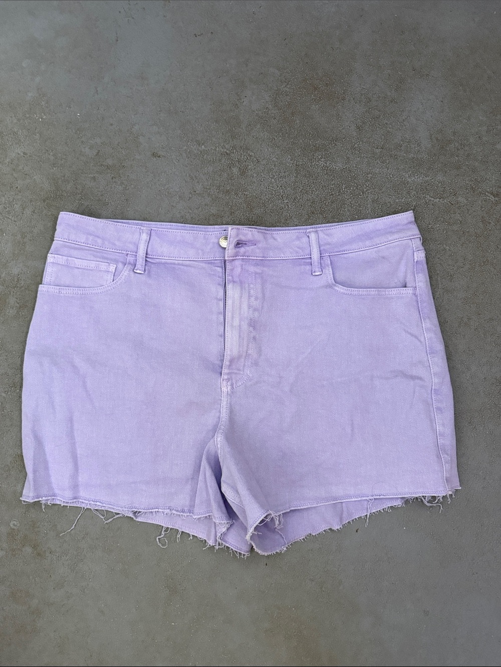 Hollister Lilac Denim Cutoff Shorts - Women